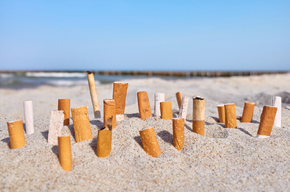 Attention: l’ennemi public numéro 1 a été repéré sur la plage!